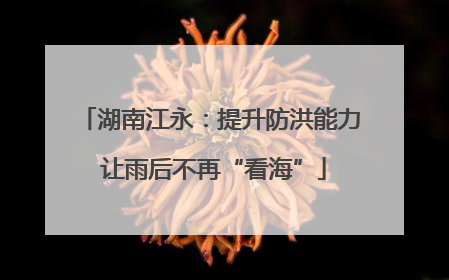 湖南江永：提升防洪能力 让雨后不再“看海”