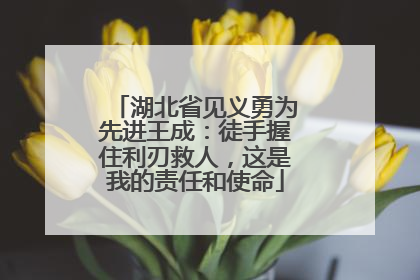 湖北省见义勇为先进王成：徒手握住利刃救人，这是我的责任和使命