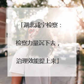 湖北咸宁检察：检察力量沉下去，治理效能提上来