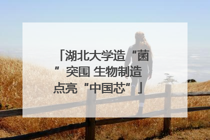 湖北大学造“菌”突围 生物制造点亮“中国芯”