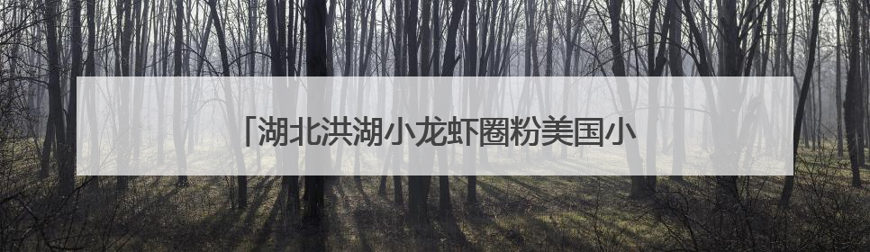 湖北洪湖小龙虾圈粉美国小伙埃文凯尔 沉浸式体验捕捞和爆炒小龙虾 最爱麻辣味