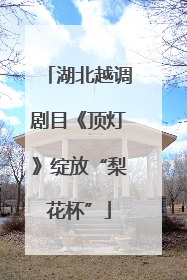 湖北越调剧目《顶灯》绽放“梨花杯”