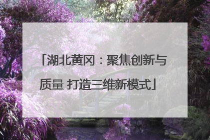 湖北黄冈：聚焦创新与质量 打造三维新模式