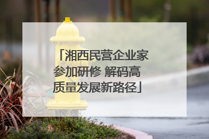 湘西民营企业家参加研修 解码高质量发展新路径