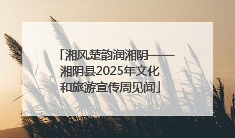 湘风楚韵润湘阴——湘阴县2025年文化和旅游宣传周见闻