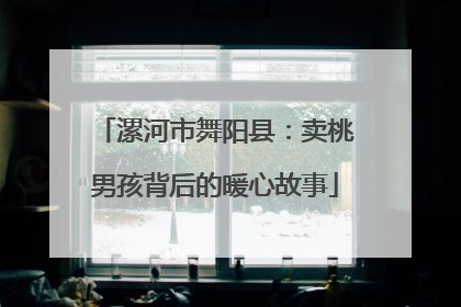 漯河市舞阳县：卖桃男孩背后的暖心故事