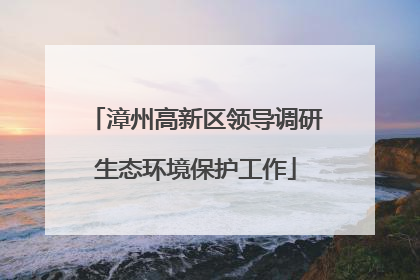 漳州高新区领导调研生态环境保护工作