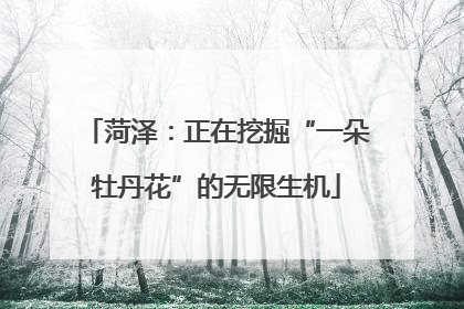 菏泽：正在挖掘“一朵牡丹花”的无限生机