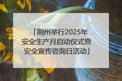 荆州举行2025年安全生产月启动仪式暨安全宣传咨询日活动