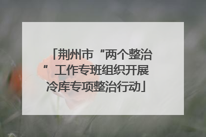 荆州市“两个整治”工作专班组织开展冷库专项整治行动