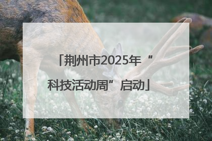 荆州市2025年“科技活动周”启动
