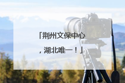 荆州文保中心，湖北唯一！