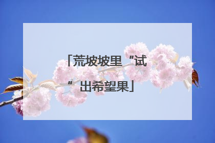 荒坡坡里“试”出希望果