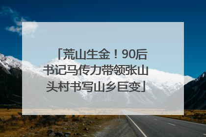 荒山生金！90后书记马传力带领张山头村书写山乡巨变