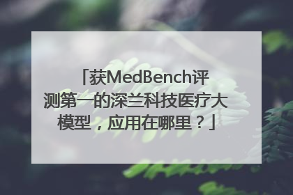 获MedBench评测第一的深兰科技医疗大模型，应用在哪里？