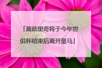 莫德里奇将于今年世俱杯结束后离开皇马