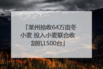 莱州抢收64万亩冬小麦 投入小麦联合收割机1500台
