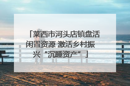 莱西市河头店镇盘活闲置资源 激活乡村振兴“沉睡资产”