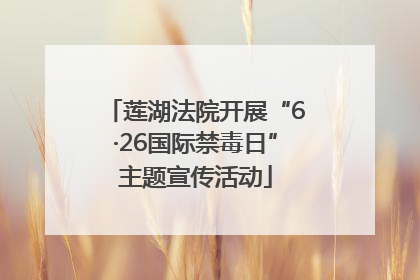 莲湖法院开展“6·26国际禁毒日”主题宣传活动