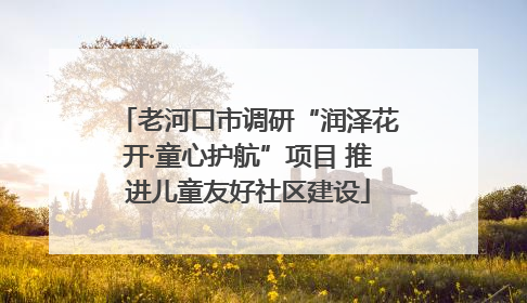 老河口市调研“润泽花开·童心护航”项目 推进儿童友好社区建设