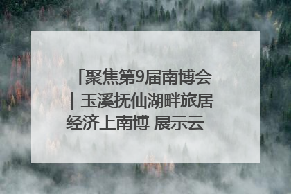 聚焦第9届南博会｜玉溪抚仙湖畔旅居经济上南博 展示云南生活新样本