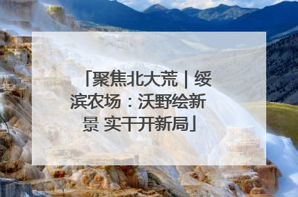 聚焦北大荒｜绥滨农场：沃野绘新景 实干开新局