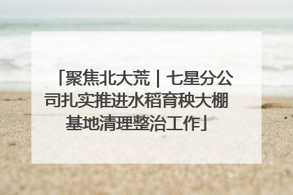 聚焦北大荒｜七星分公司扎实推进水稻育秧大棚基地清理整治工作