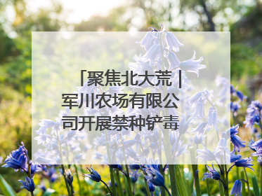 聚焦北大荒｜军川农场有限公司开展禁种铲毒排查宣传行动