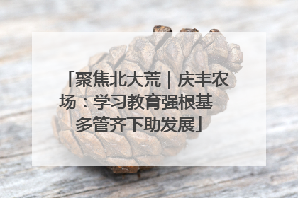 聚焦北大荒｜庆丰农场：学习教育强根基 多管齐下助发展
