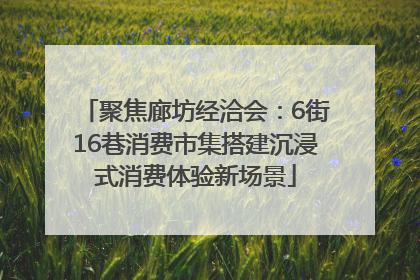 聚焦廊坊经洽会：6街16巷消费市集搭建沉浸式消费体验新场景