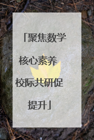 聚焦数学核心素养 校际共研促提升