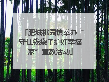 肥城桃园镇举办“守住钱袋子护好幸福家”宣教活动