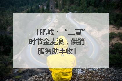 肥城：“三夏”时节金麦浪，供销服务助丰收