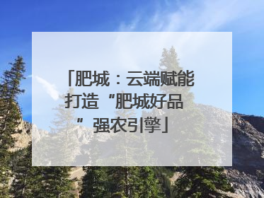 肥城：云端赋能 打造“肥城好品”强农引擎