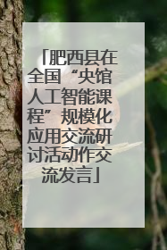 肥西县在全国“央馆人工智能课程”规模化应用交流研讨活动作交流发言
