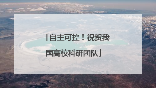 自主可控！祝贺我国高校科研团队