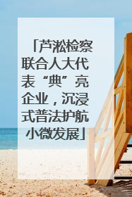 芦淞检察联合人大代表“典”亮企业，沉浸式普法护航小微发展