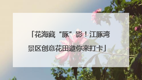 花海藏“豚”影！江豚湾景区创意花田邀你来打卡