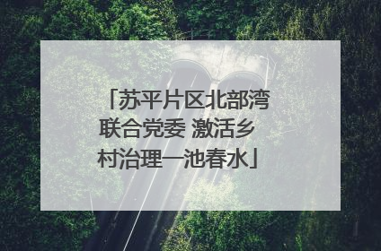 苏平片区北部湾联合党委 激活乡村治理一池春水