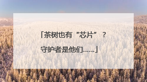 茶树也有“芯片”？守护者是他们……