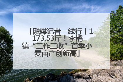 融媒记者一线行丨1173.53斤！李鹊镇“三作三收”首季小麦亩产创新高