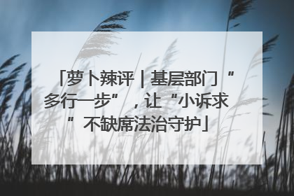 萝卜辣评｜基层部门“多行一步”，让“小诉求”不缺席法治守护
