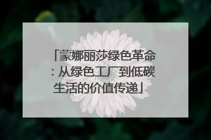 蒙娜丽莎绿色革命：从绿色工厂到低碳生活的价值传递