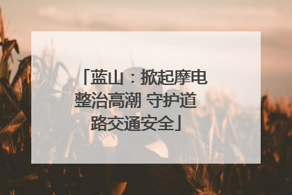 蓝山：掀起摩电整治高潮 守护道路交通安全