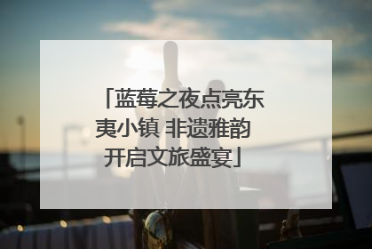蓝莓之夜点亮东夷小镇 非遗雅韵开启文旅盛宴