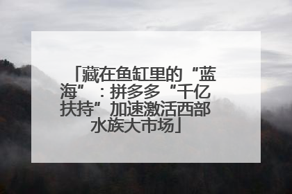 藏在鱼缸里的“蓝海”：拼多多“千亿扶持”加速激活西部水族大市场