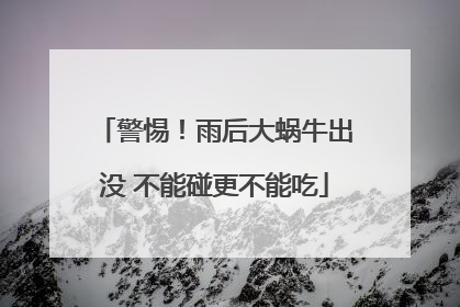 警惕！雨后大蜗牛出没 不能碰更不能吃