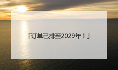 订单已排至2029年！