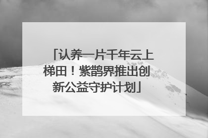 认养一片千年云上梯田！紫鹊界推出创新公益守护计划