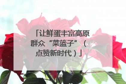 让鲜蛋丰富高原群众“菜篮子”（点赞新时代）